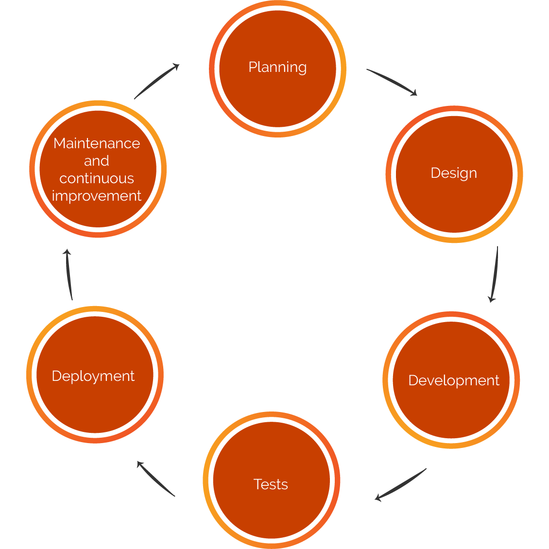 The digital lifecycle in its main stages